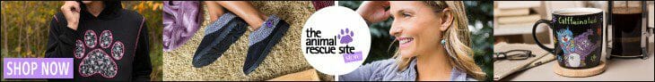 animal rescue charity
