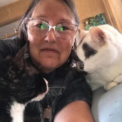 cat giveaway shelter 1000 dollar winner